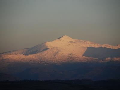 Picture 31
